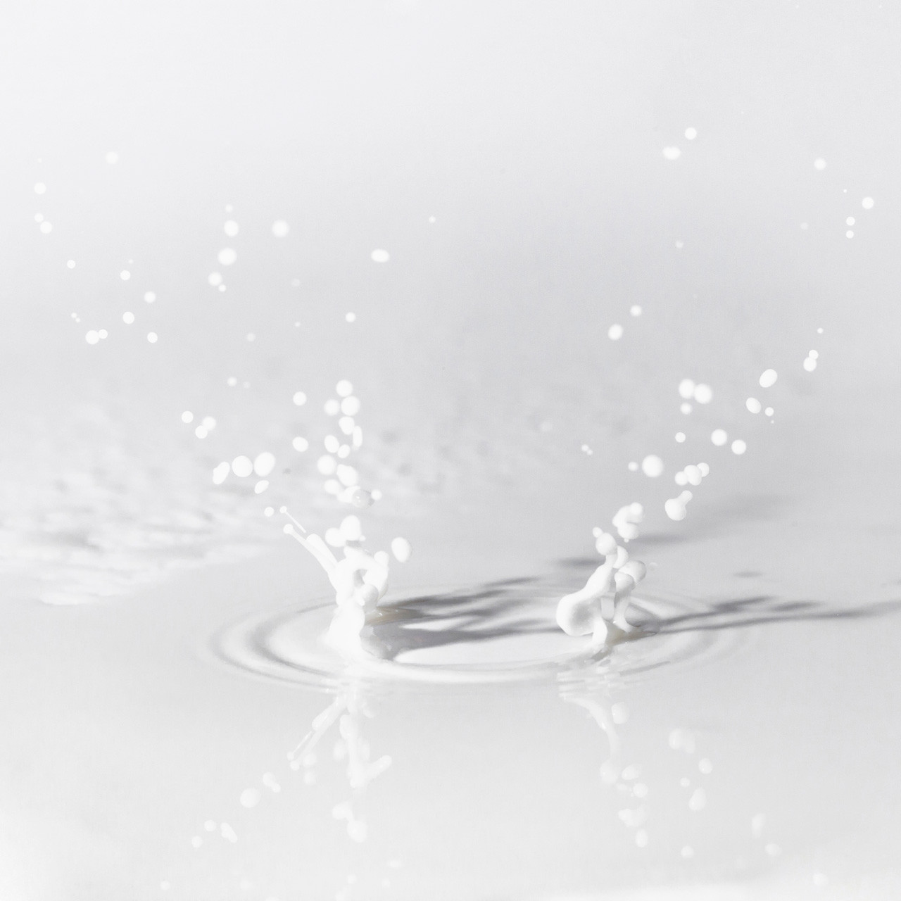 Duedilatte - Natural fibres, yarns and fabrics - Milk Splash